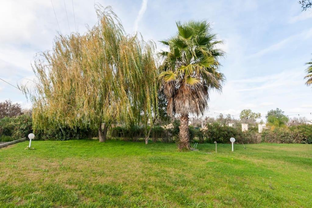 Villa Delle Stelle Con Piscina Leverano Exteriör bild